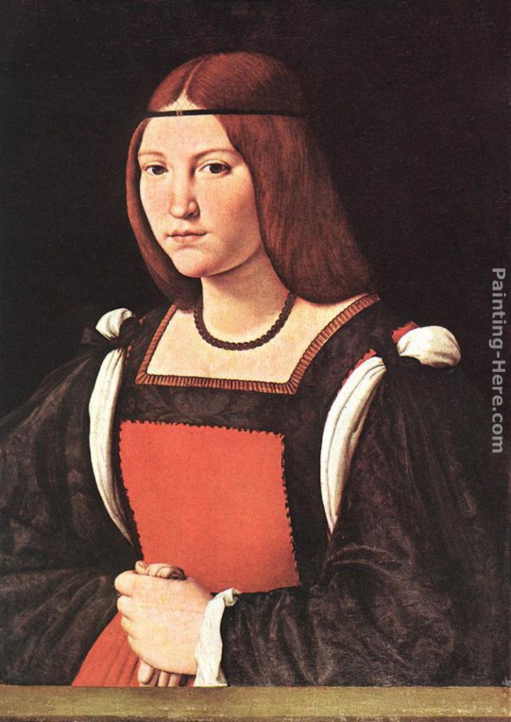 Portrait of a Young Woman painting - Giovanni Antonio Boltraffio Portrait of a Young Woman art painting